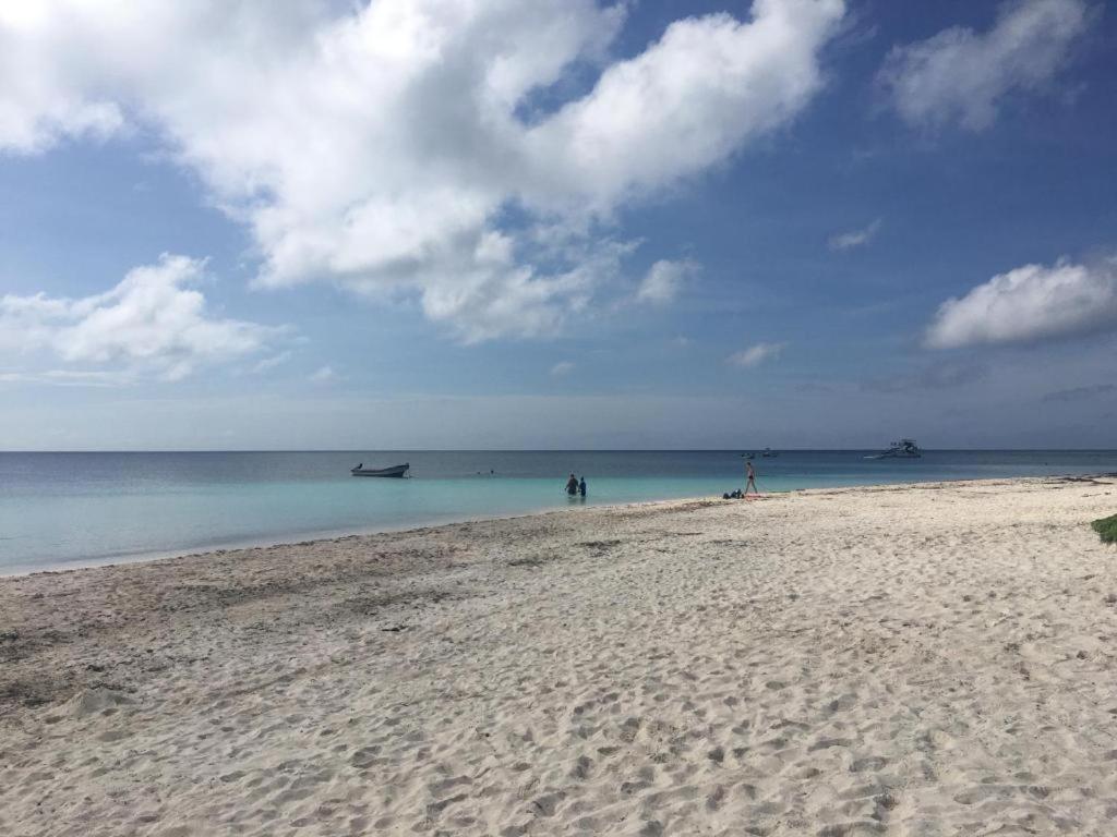 Caribbean 1 Appartement